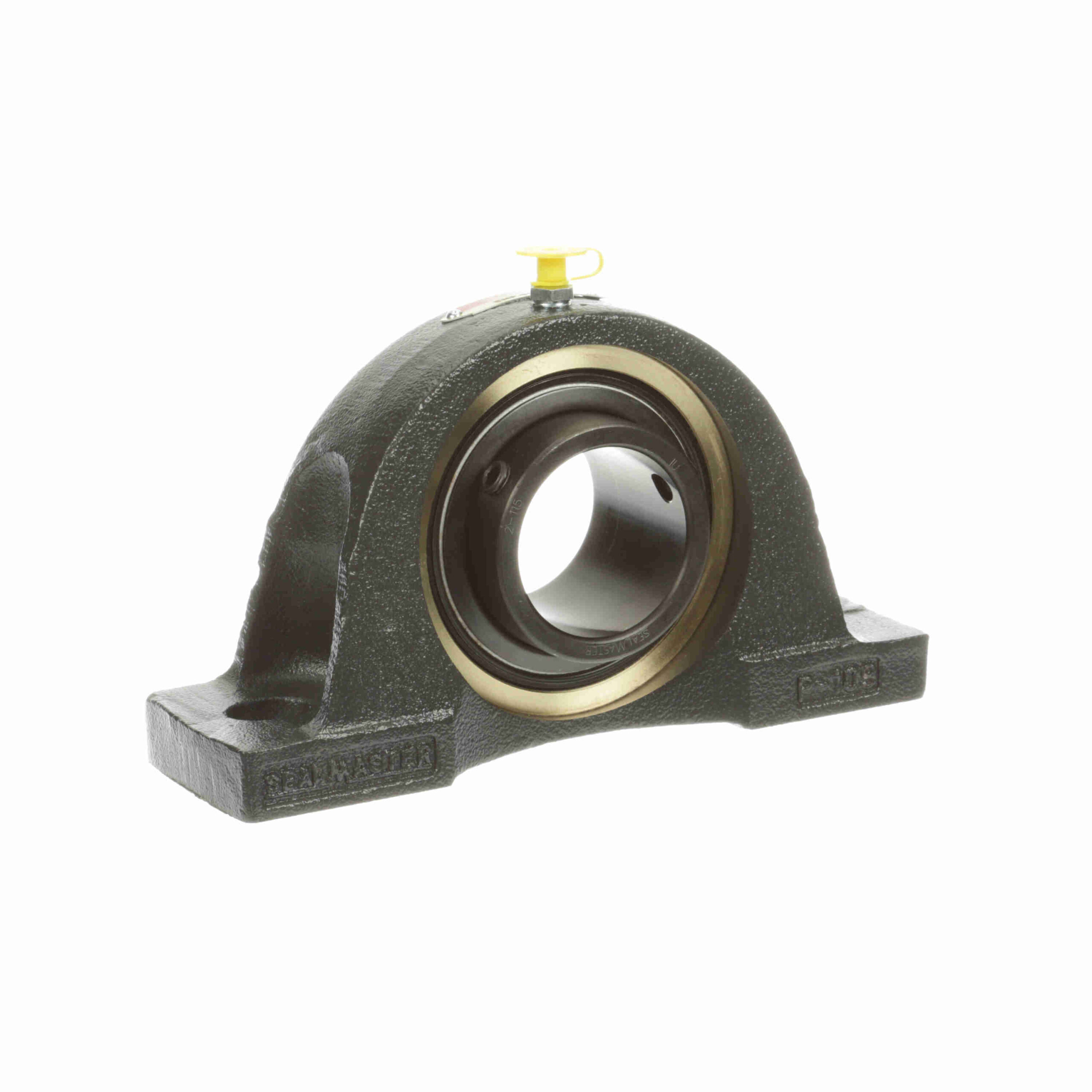 ENP-31